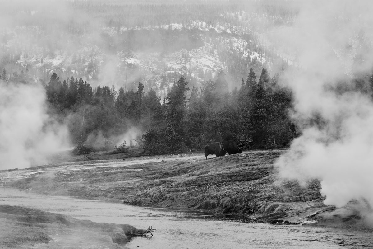 Yellowstone Landscape 09 1200 Bethlehem Steel 03